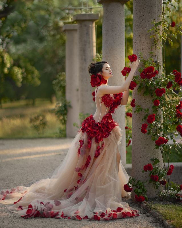 роза, цветы, девушка, пышное платье, кутюр, сад, сказка, фентези Садовая роза фото превью