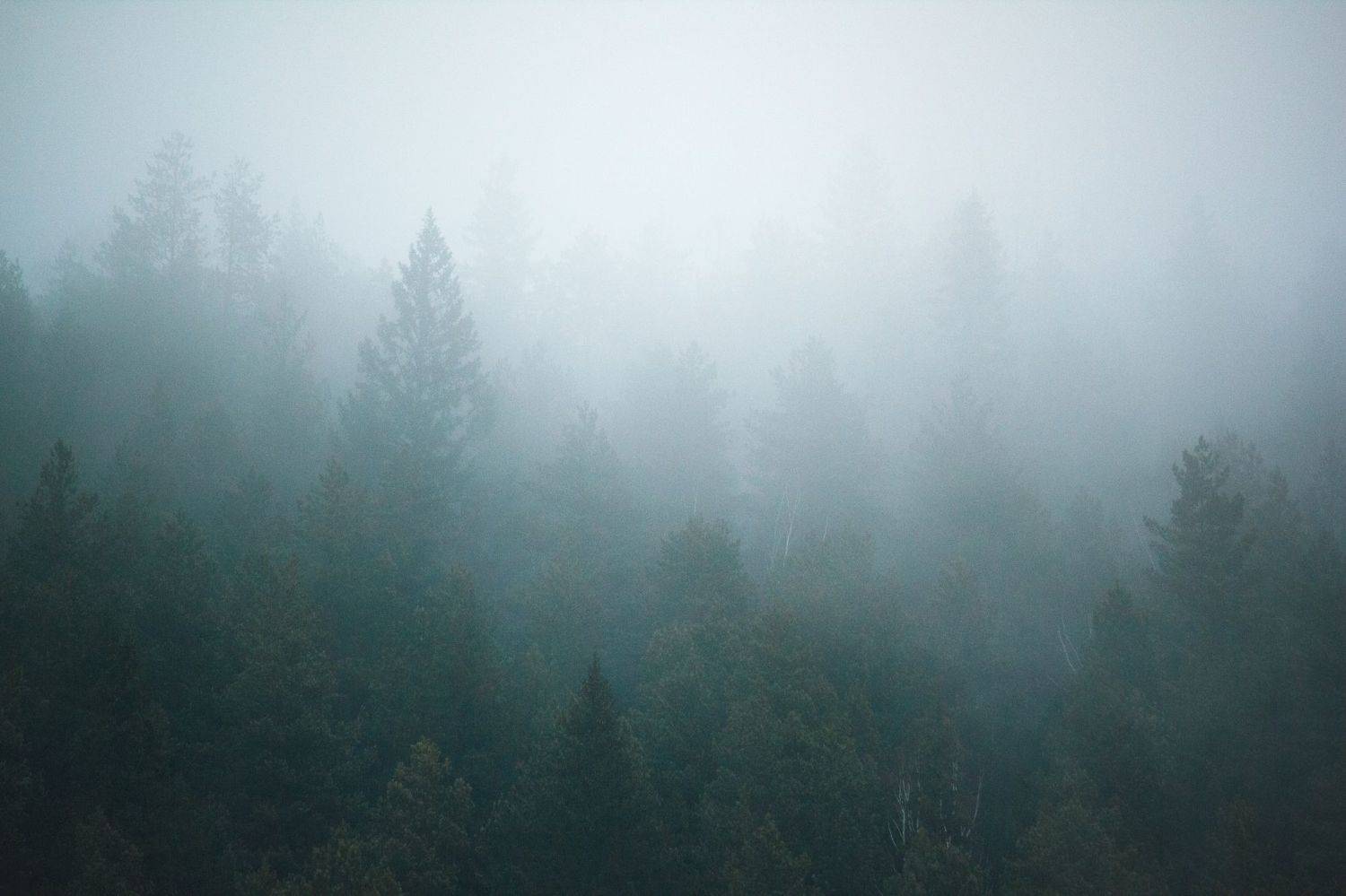 , Котов Андрей