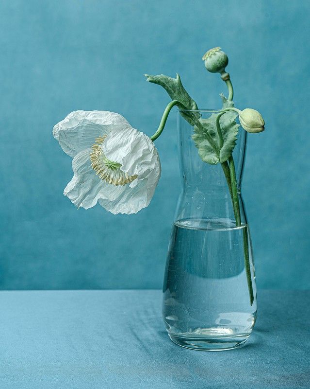 Мак фото превью