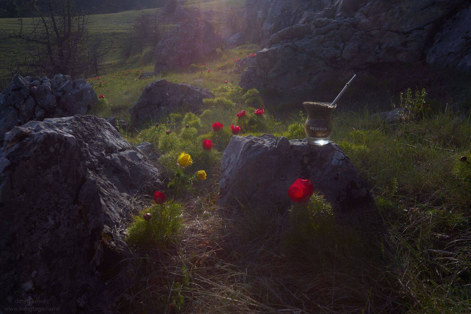 дмитр коваль, гималаи и крым вне треков, пейзаж как магия, Коваль Дмитр