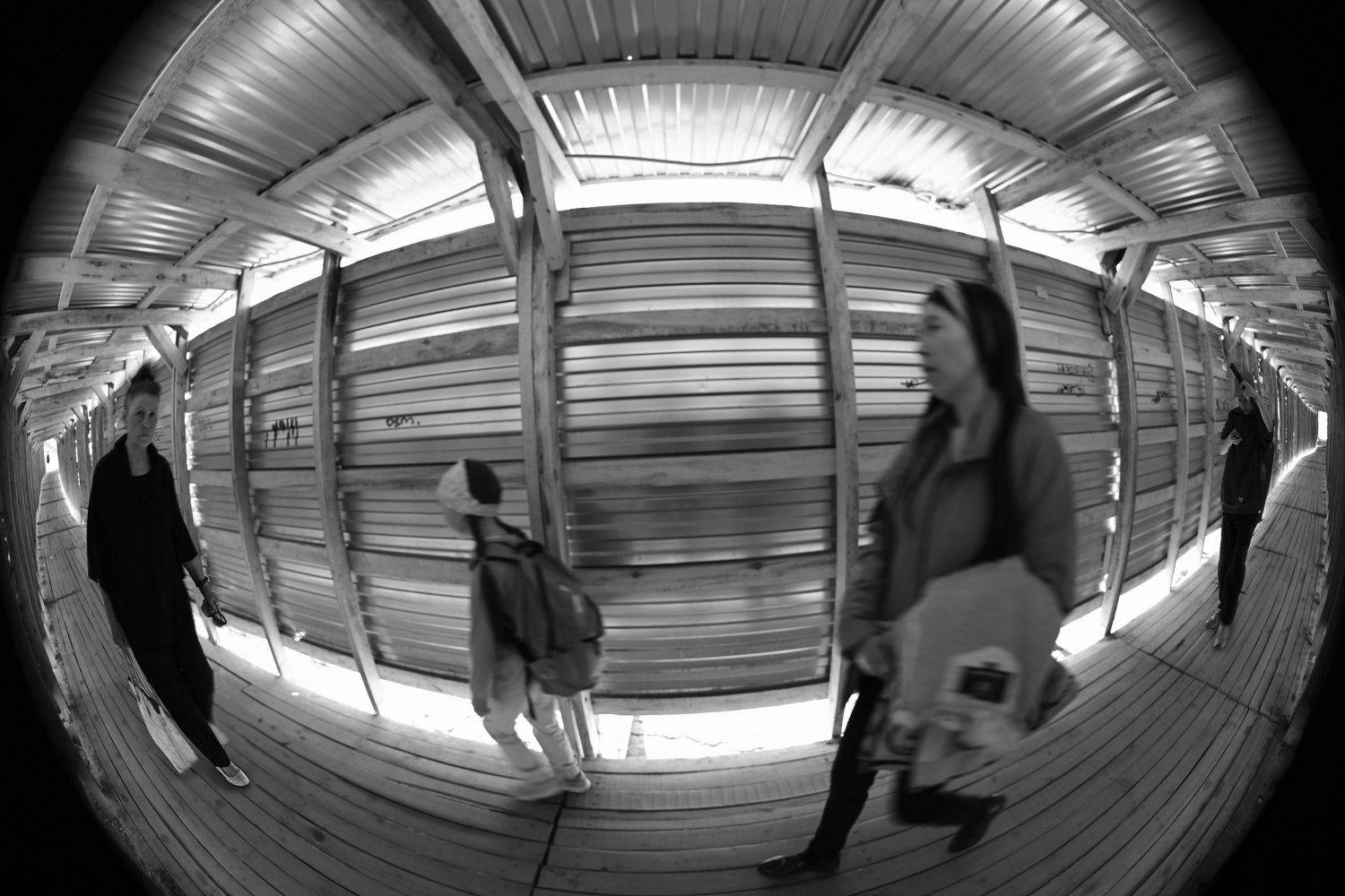 , Меднов Влад