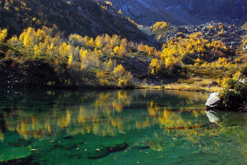 Отражение фото превью