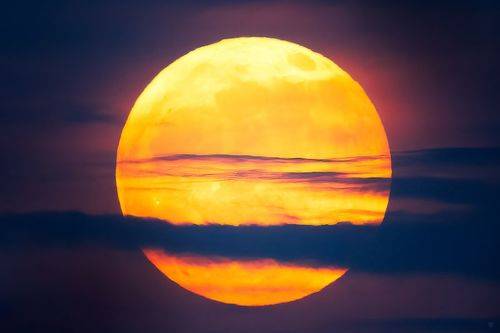 Moon
