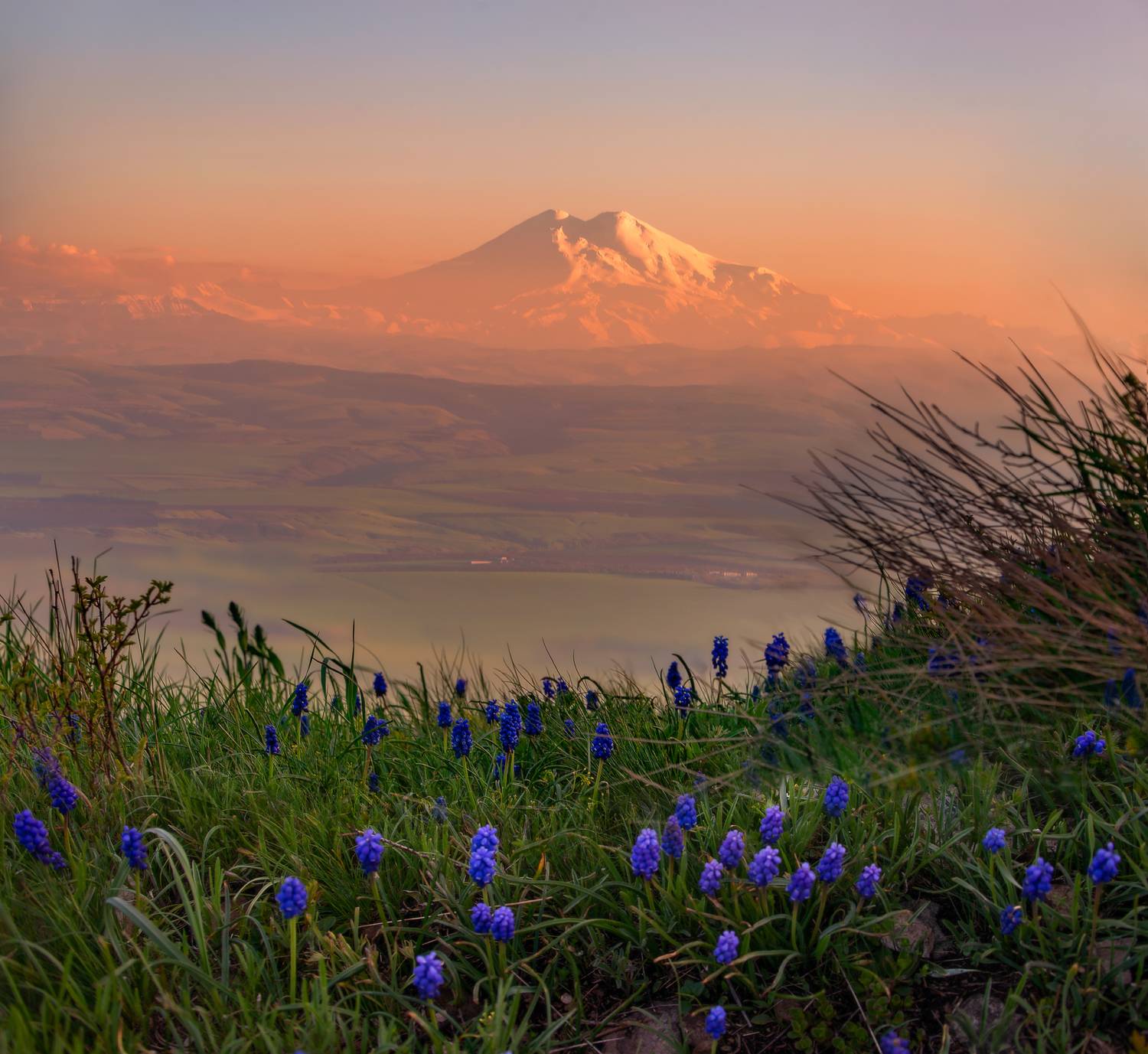 пейзаж,эльбрус,мускари,природа,кмв,май, Елена Брежицкая