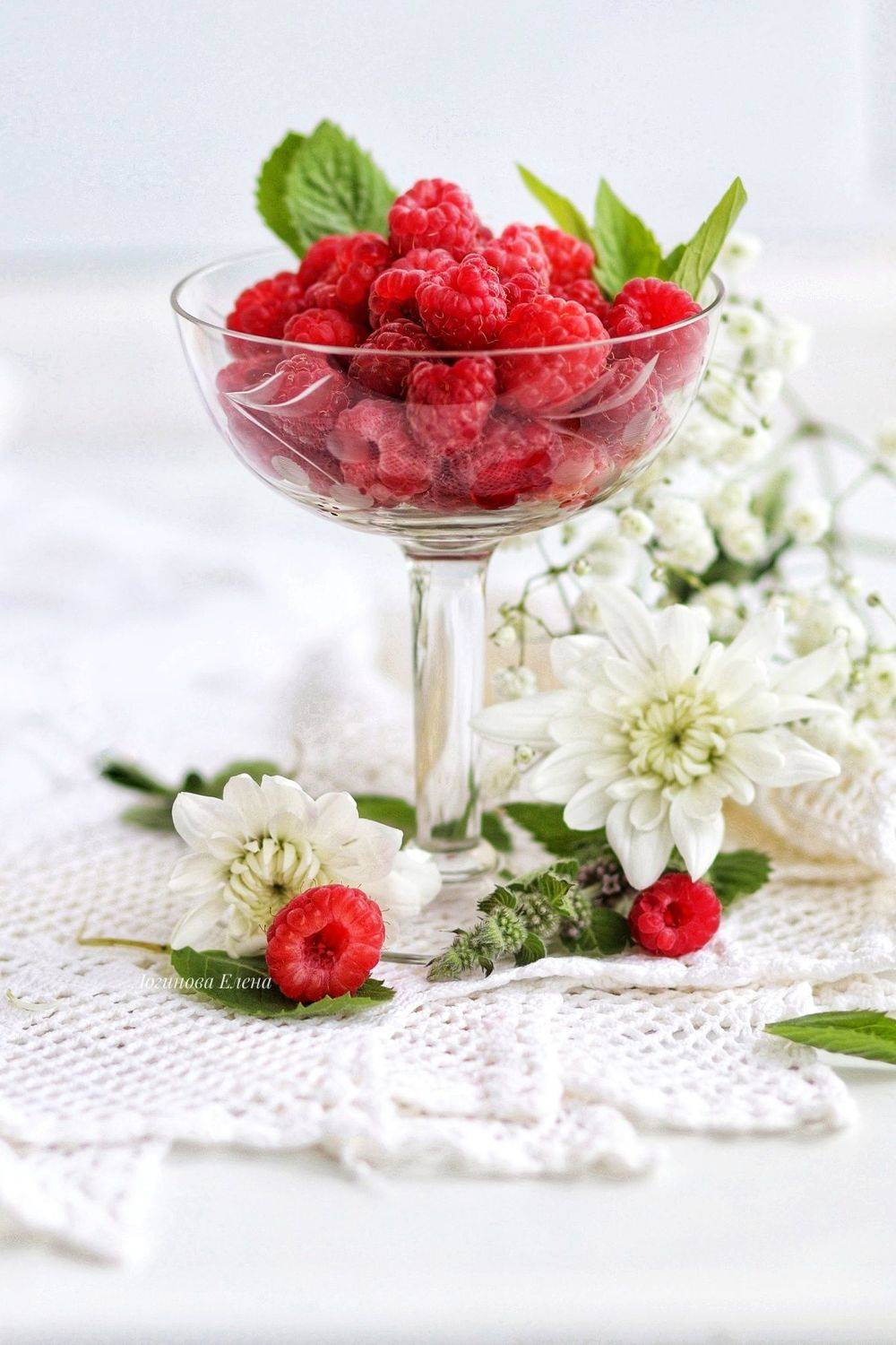 , Елена Логинова