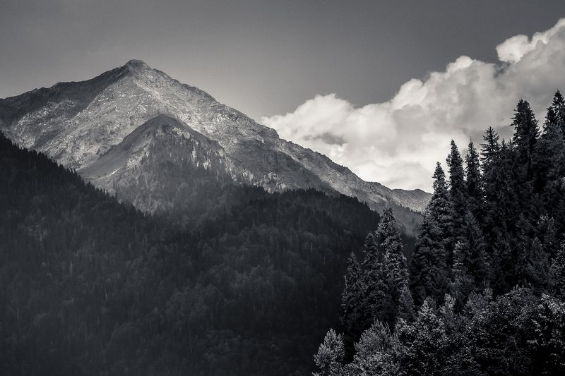 *** фото превью