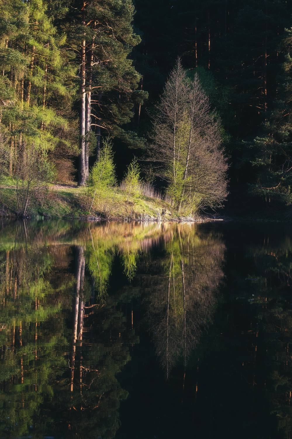пейзаж, отражение, природа, весна, озеро, Мартыненко Дмитрий