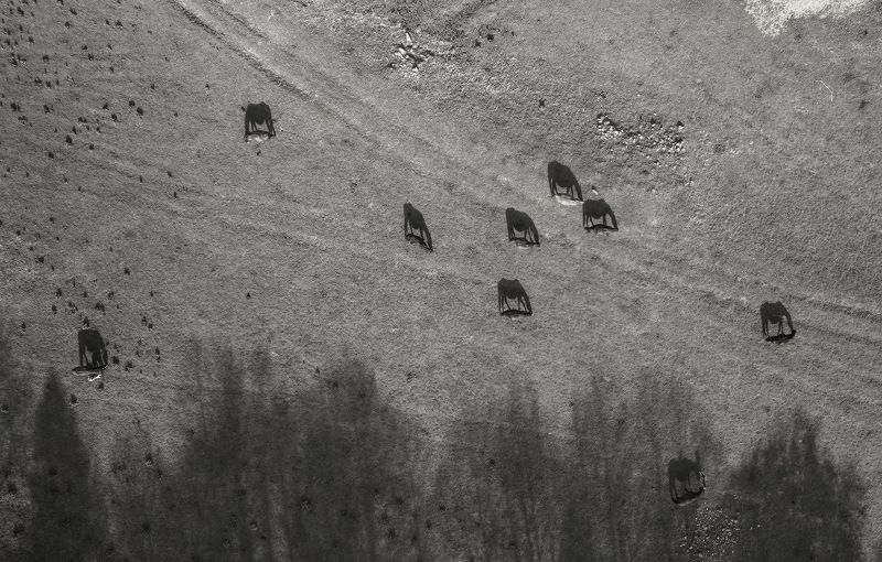 ... фото превью