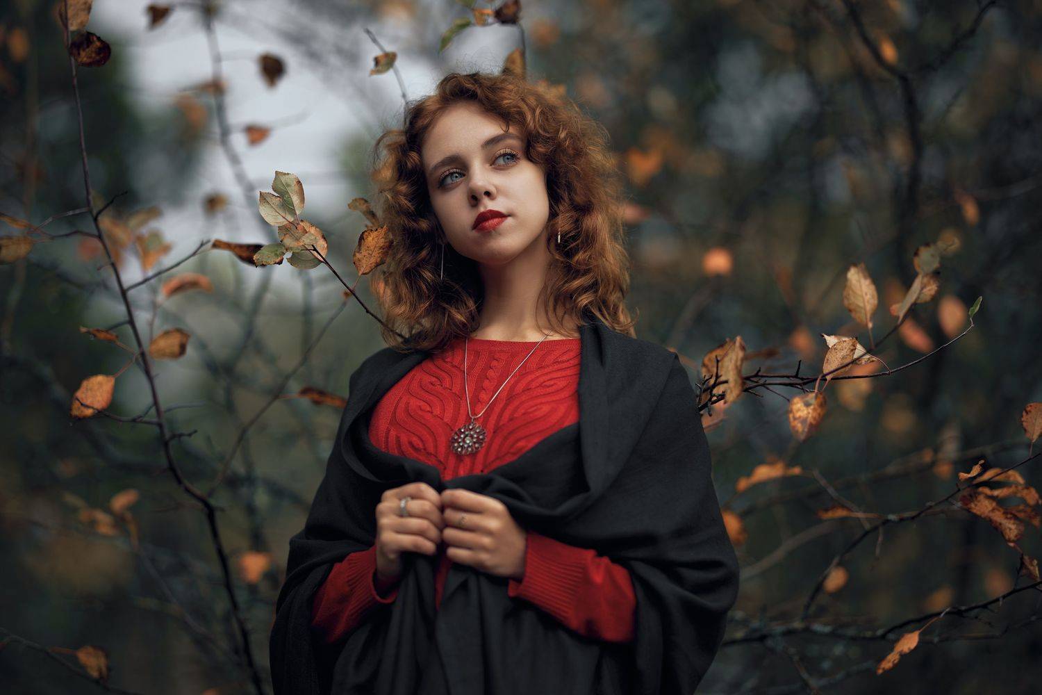 , Дмитрий Дыбов