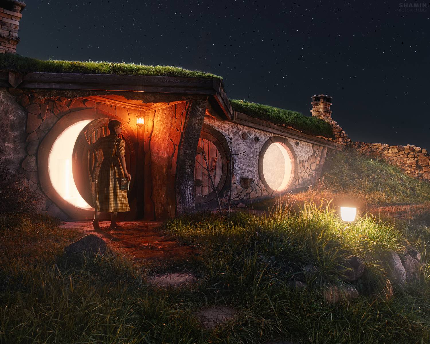 , Константин Шамин