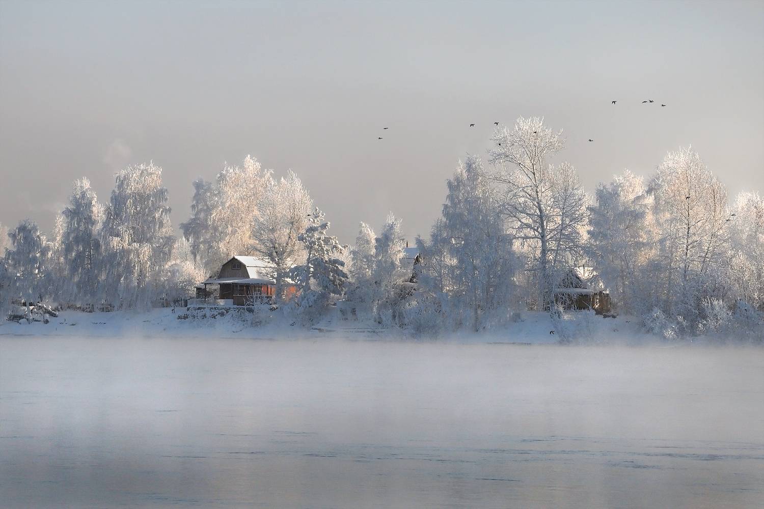 , Александр Попов