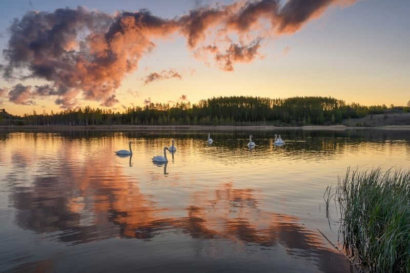 Городищенское озеро фото превью
