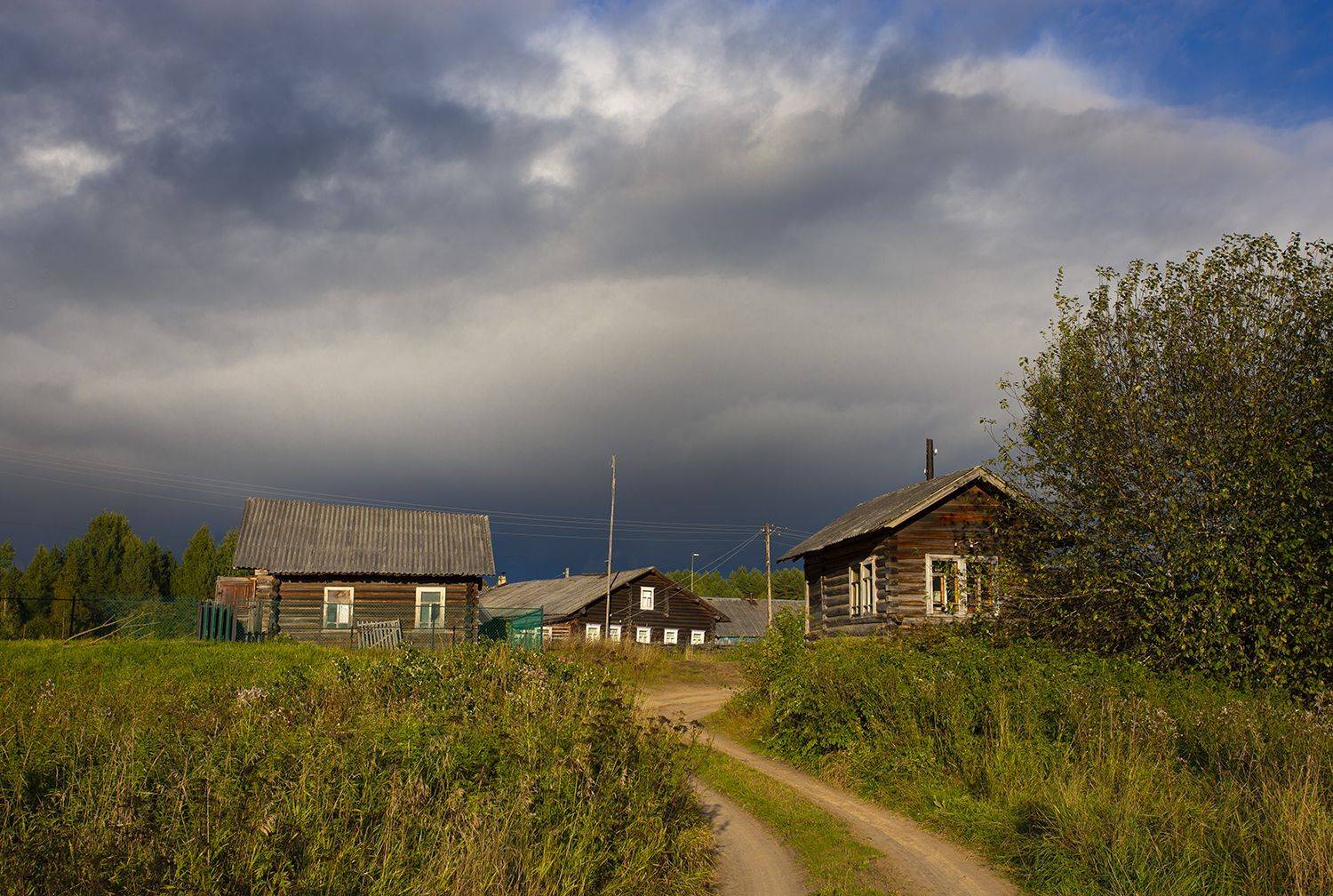деревня, дорога, вечер, лето, Наталия Колтакова