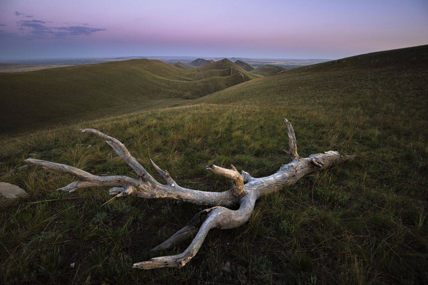 , Антонов Антон