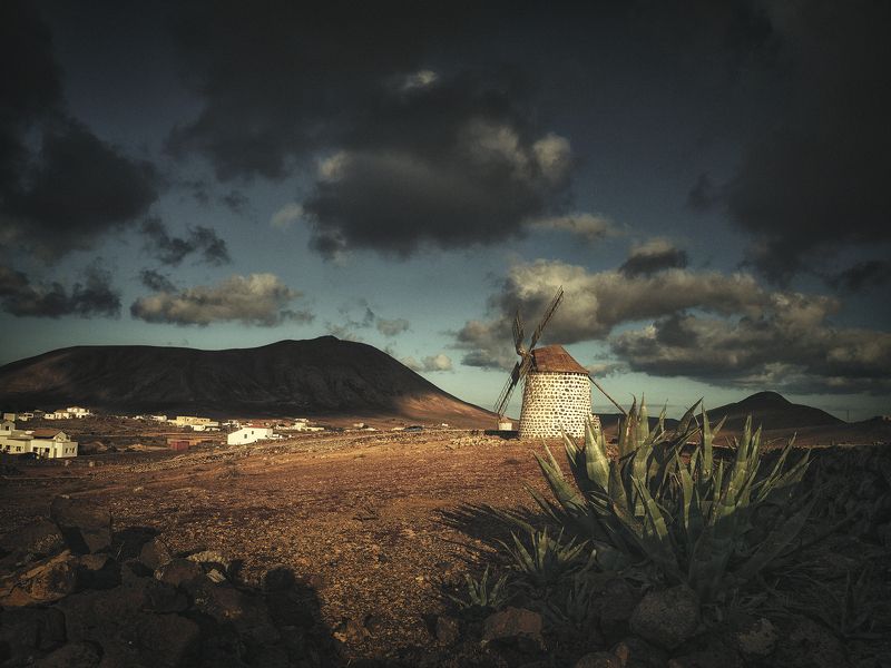 windmill фото превью