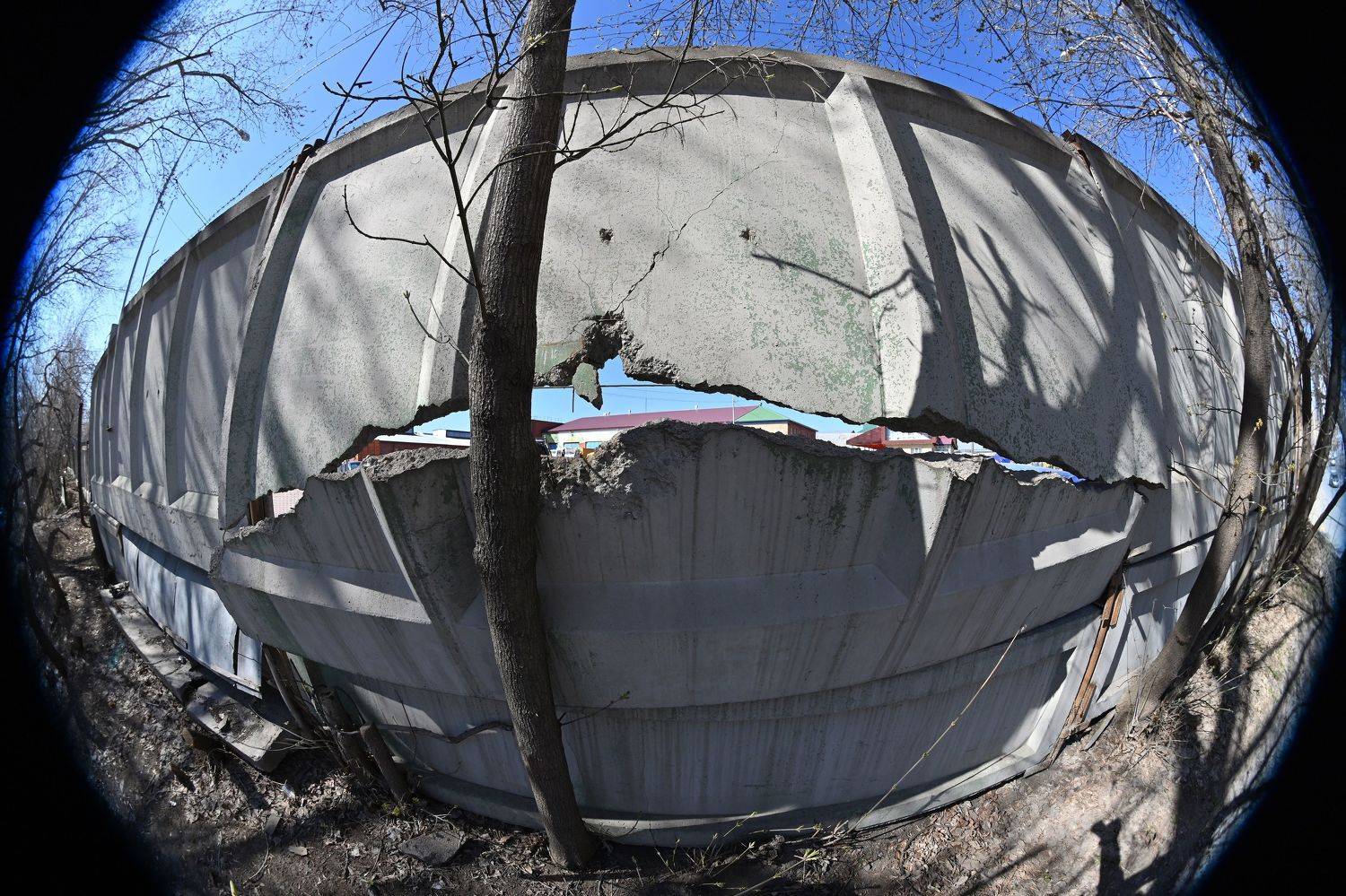 , Меднов Влад