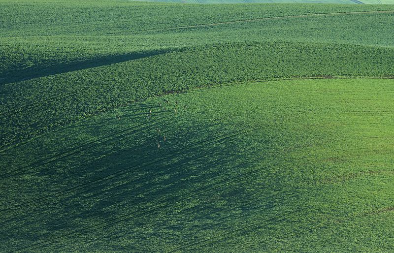 morava  фото превью