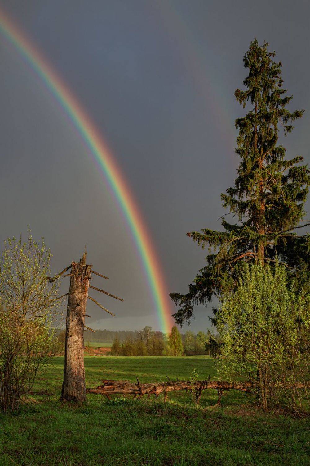 , Евгений Ерохин