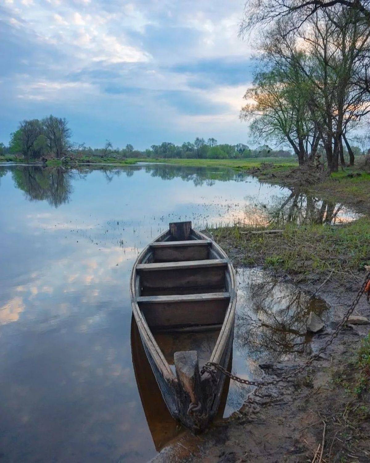 , Петр Косых