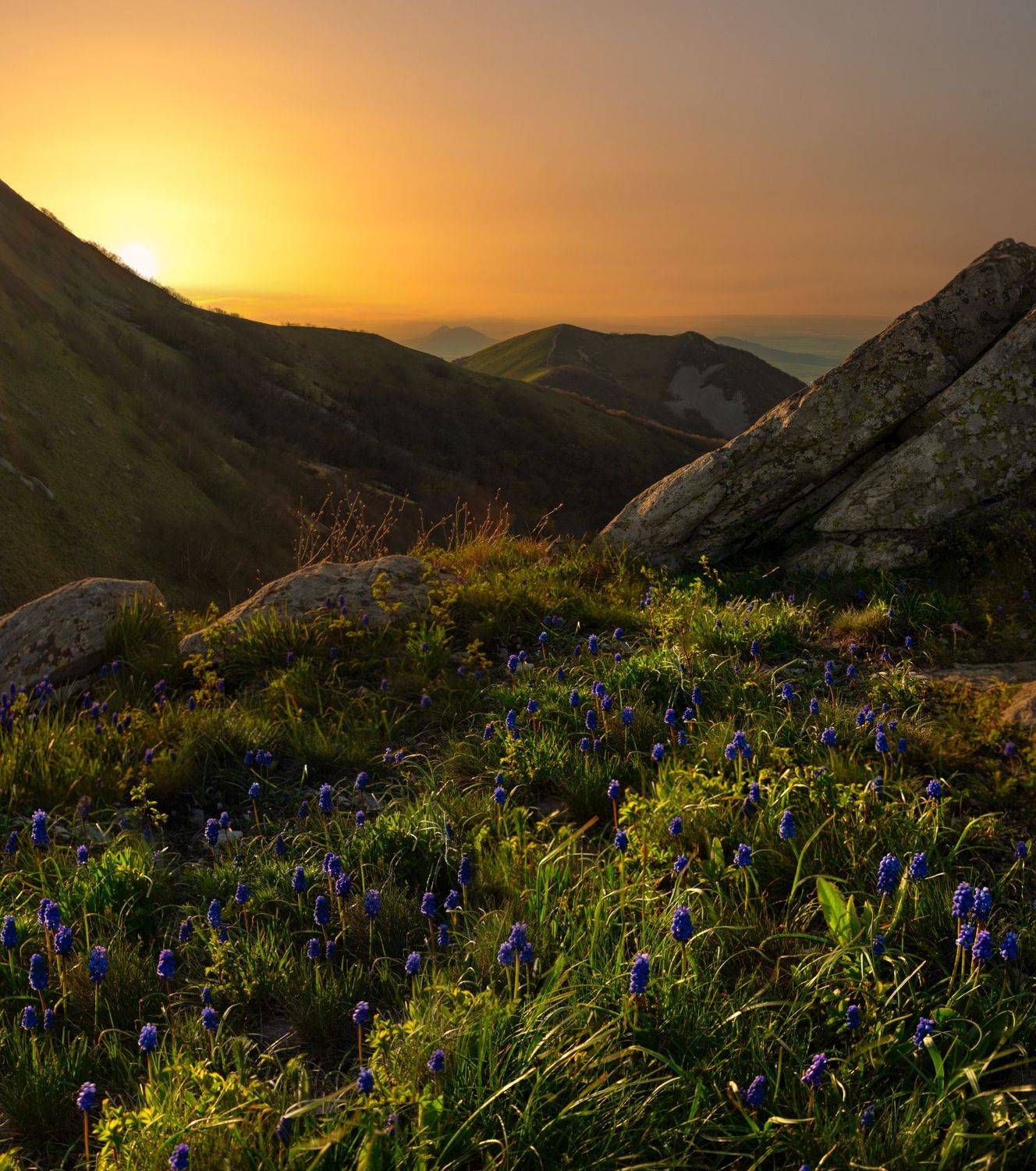 бештау,природа,пейзаж,мускари,храм солнца,закат, Елена Брежицкая