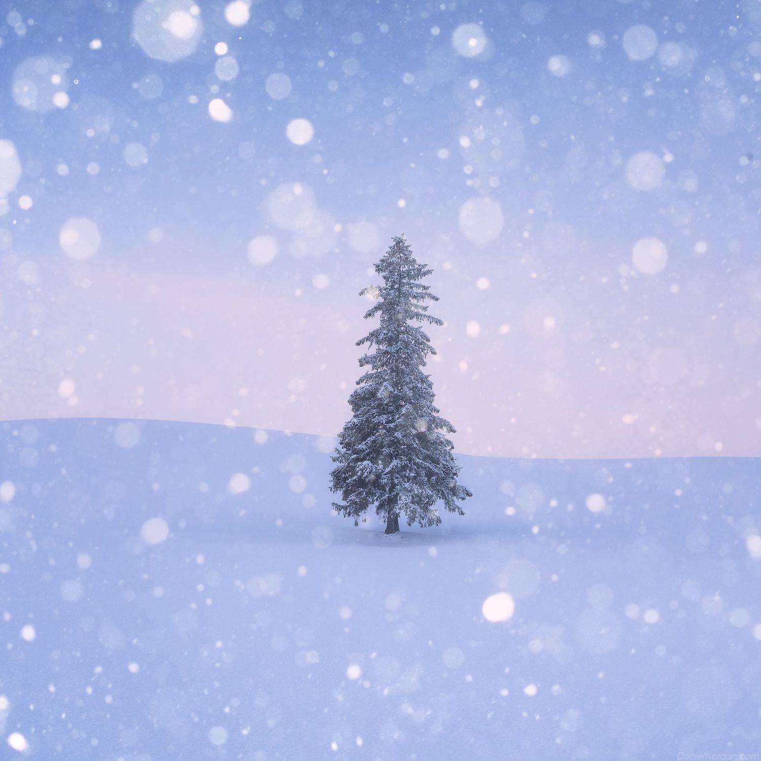 , Даниил Коржонов