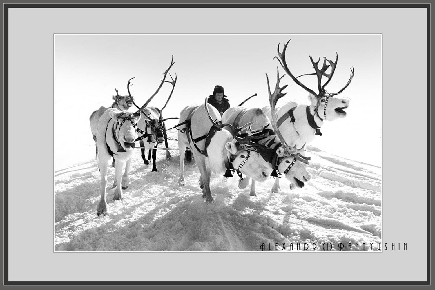 , Александр Пантюшин