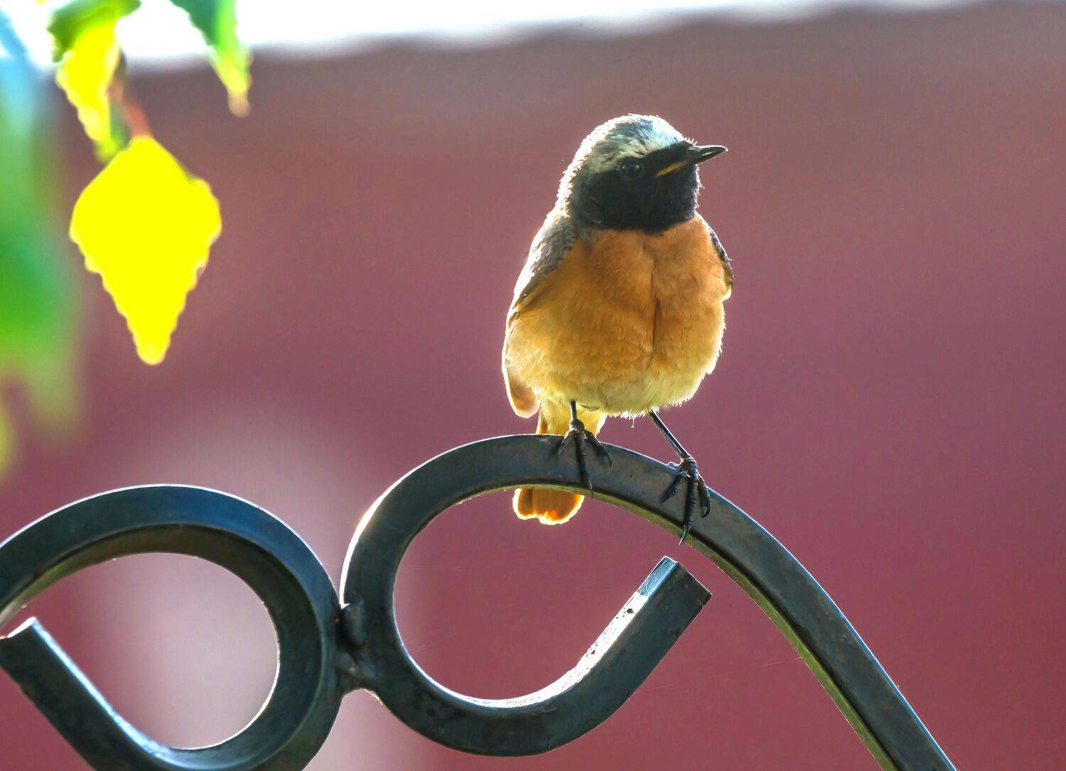 , Белоусов Михаил