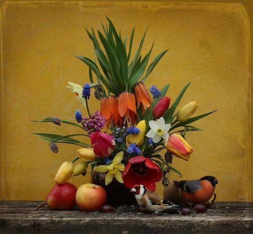 Майское ассорти