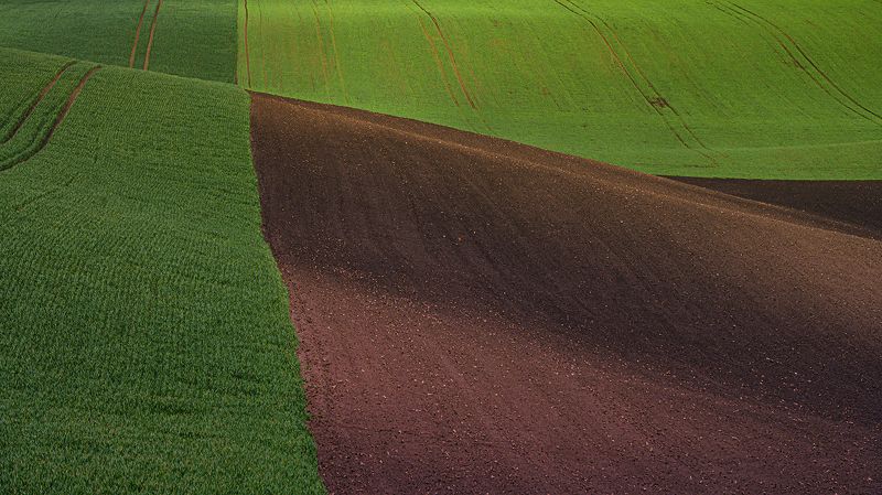 morava  фото превью