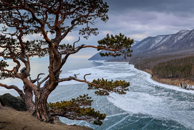 байкал, лед, нд, весна, март, бухта песчаная, озеро, байкальский лед, сибирь, baikal, siberia, байкальский лед нд Над ледяным простором фото превью