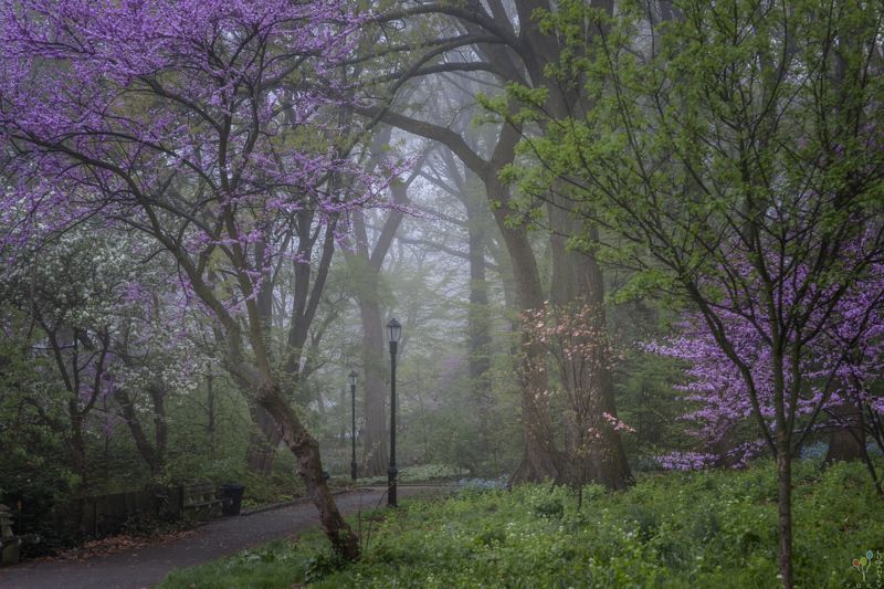 Fort Tryon Park фото превью