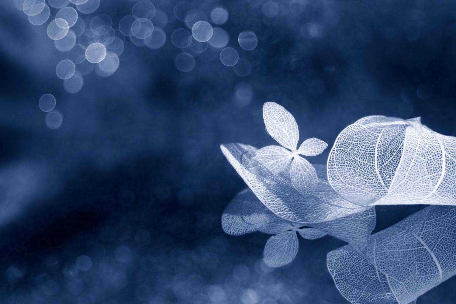 close-up, Игорь Копцев