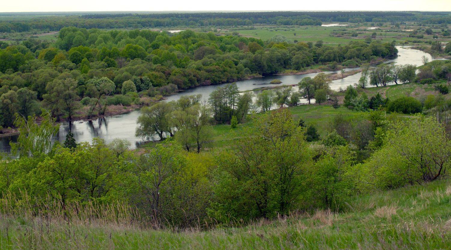 река воронеж, липецкая область, малинино,май, река, Рукин Иван