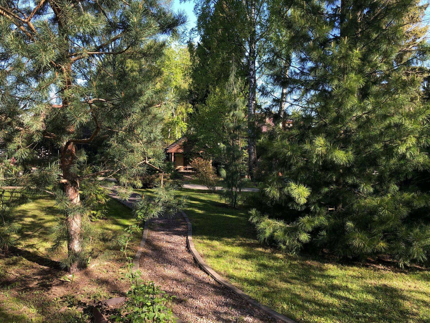 , Курлянцев Алексей