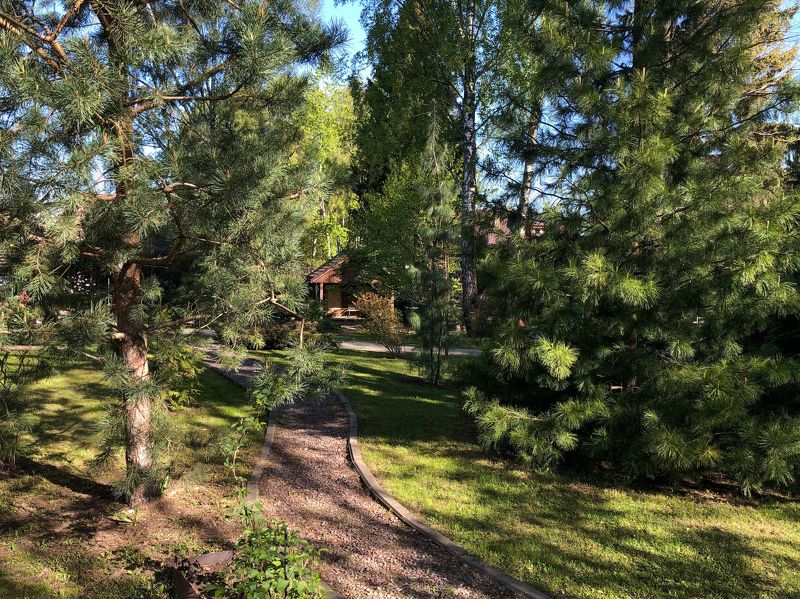 Зарисовка во дворе фото превью