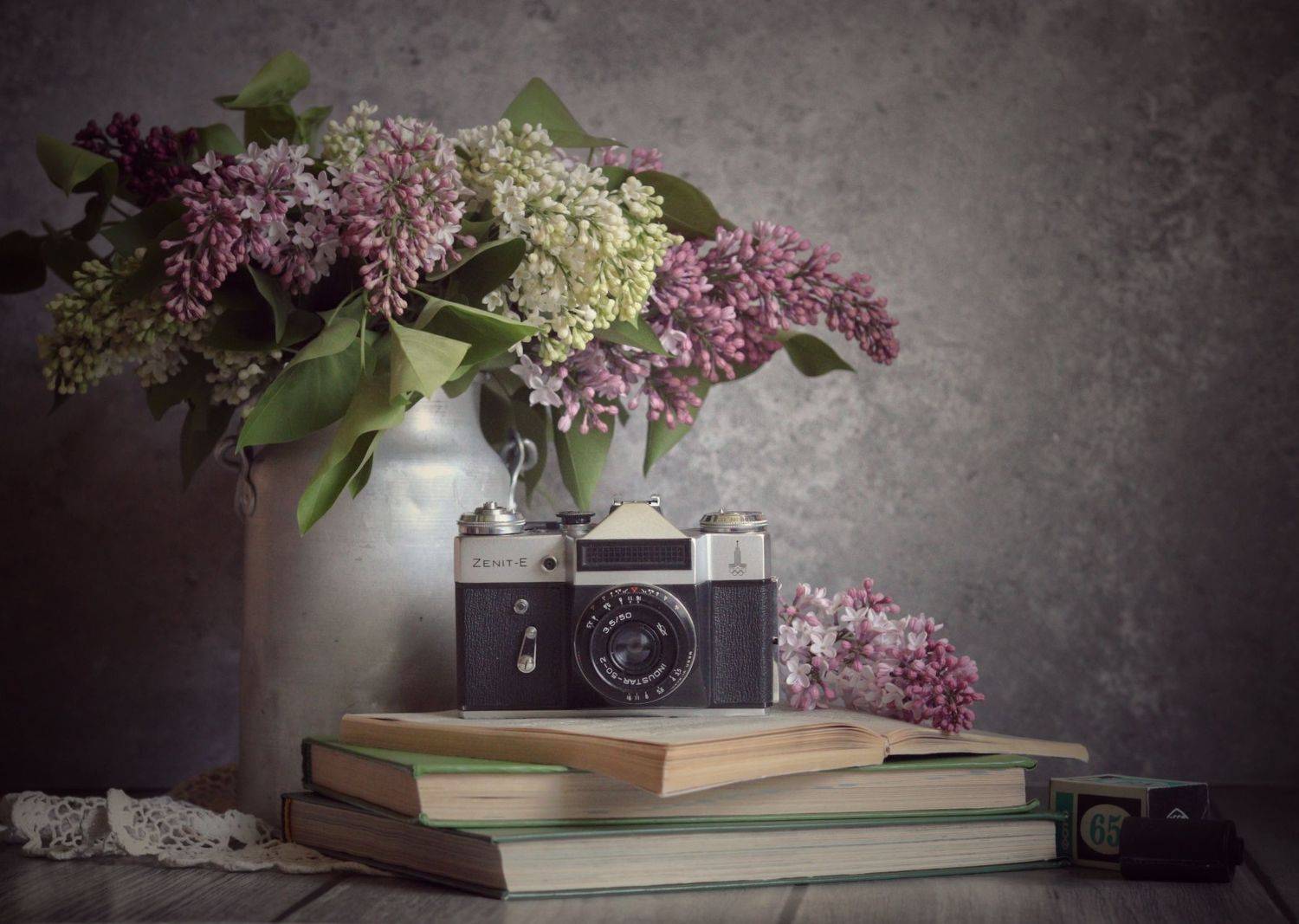 Зенит, сирень, ссср, Елена Логинова