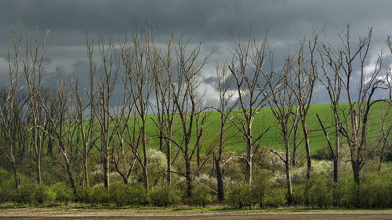 morava  фото превью