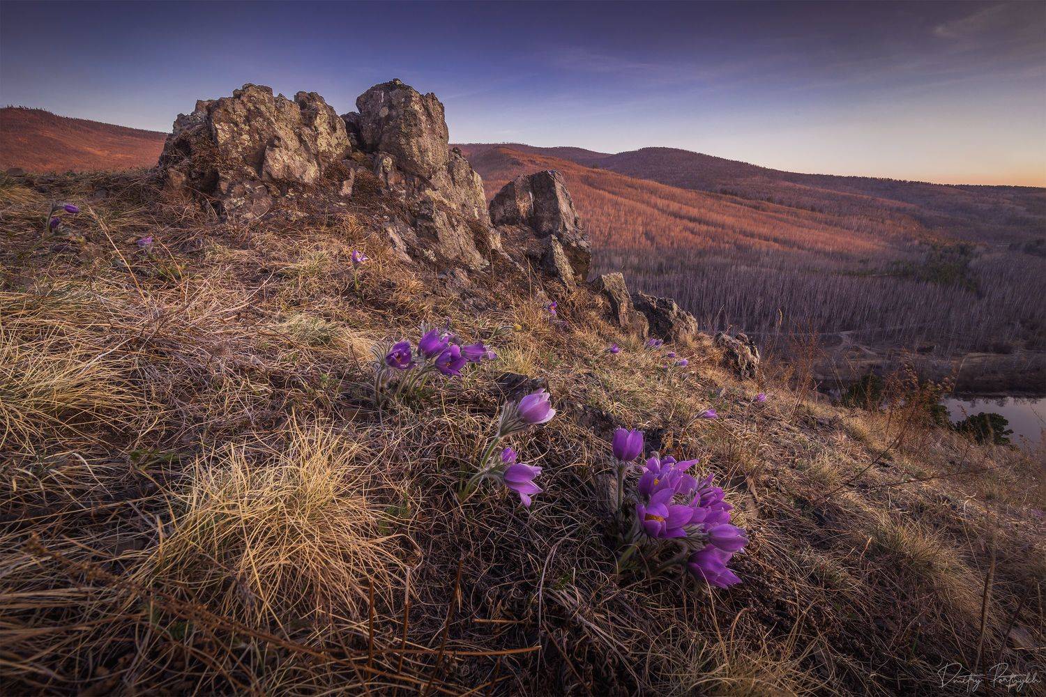 закат, скалы, природа, пейзаж, прострелы, первоцветы, подснежники, ургульки, забайкальский край, чита, Портных Дмитрий