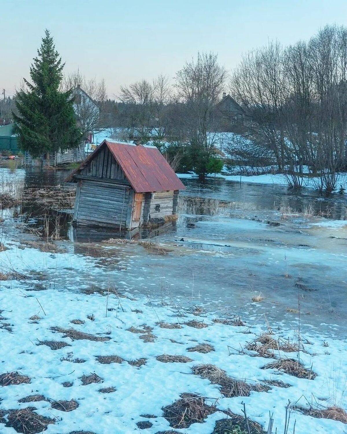 , Петр Косых