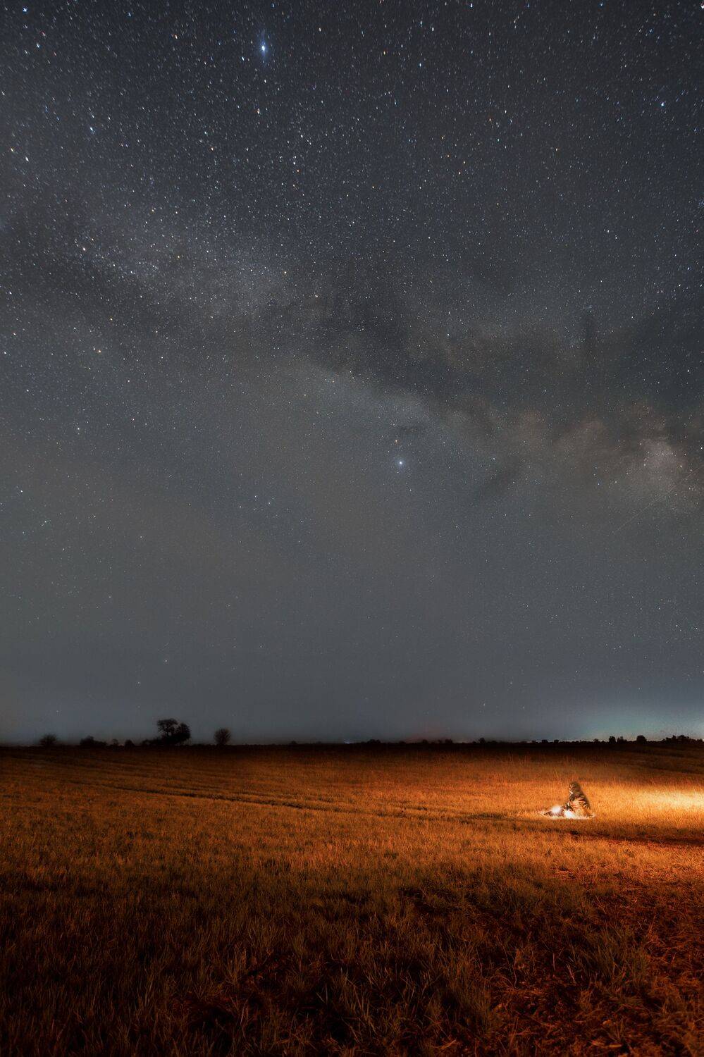 ночь, ночной пейзаж, млечный путь, астрахань, степь, звезды, астрофотография, Vladislav