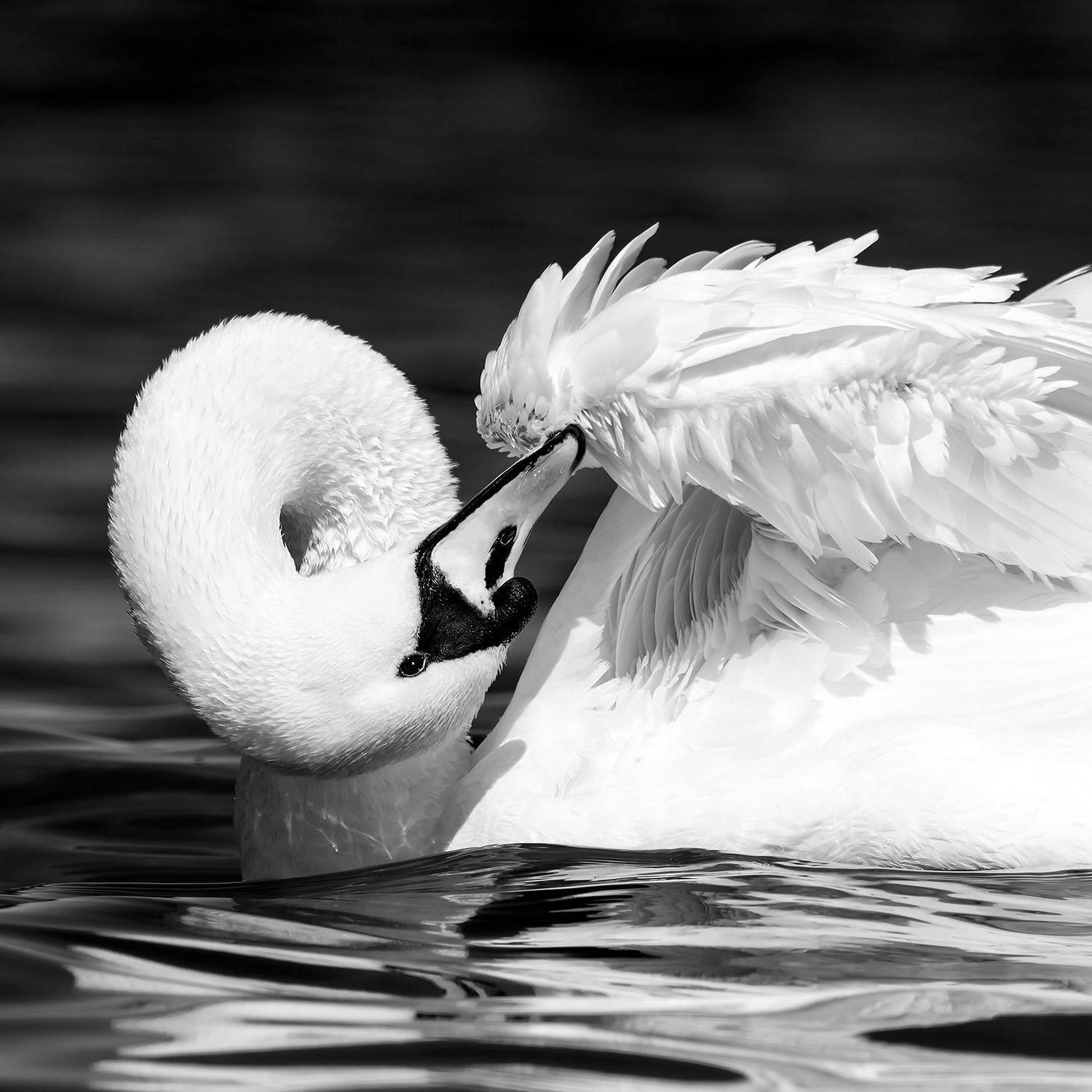 , Александр Абросимов