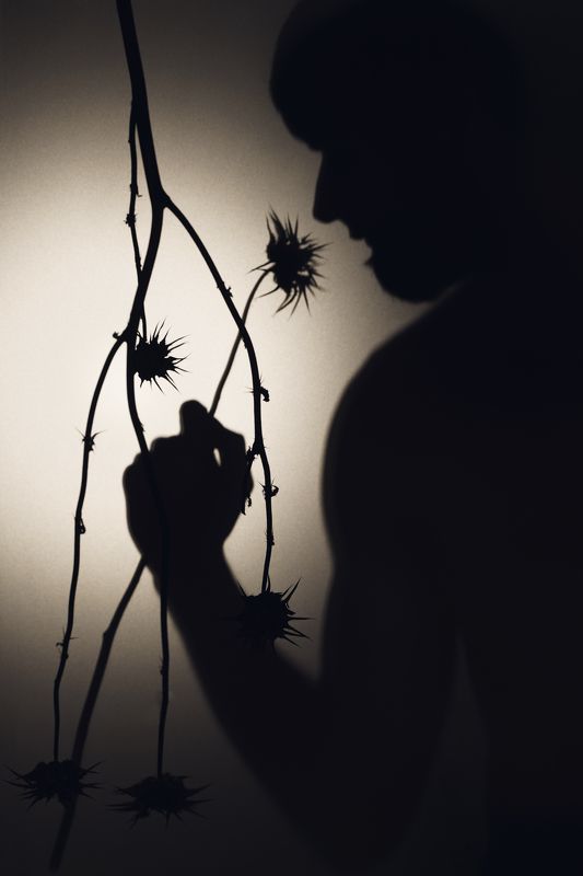 shadows, shadow, flower, dry, dead, black, contemporary, similarity, other life, dark, moody, mood, silhouette, male, man, beard Valley of shadows фото превью