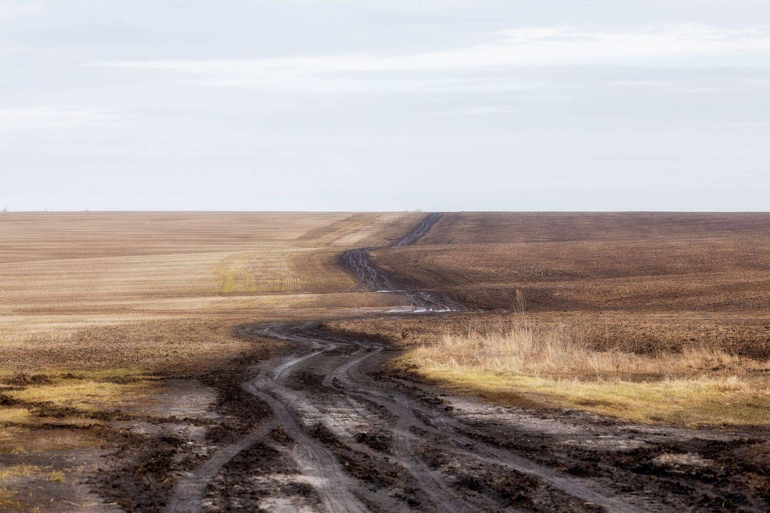 природа, весна, пейзаж, апрель, распутица, Тульская область, Мартыненко Дмитрий