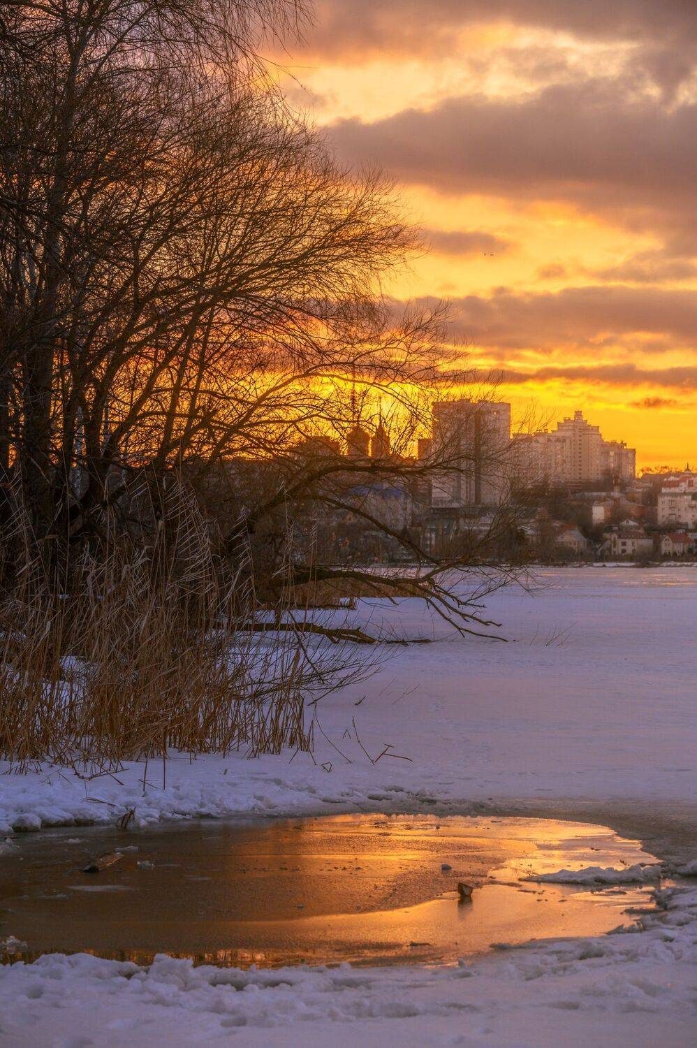 , Караваев Антон