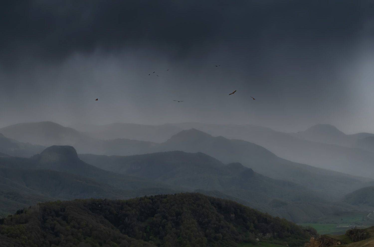 , Алиева Татьяна