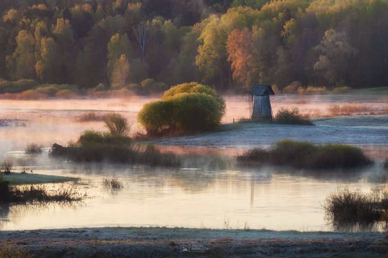 пушкинские горы, рассвет, туман Утро в Пушкинских горах фото превью