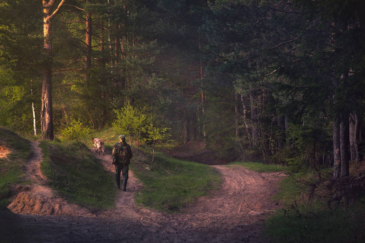 #собака #владимирскаяобласть #природароссии, Александр Стрельчук