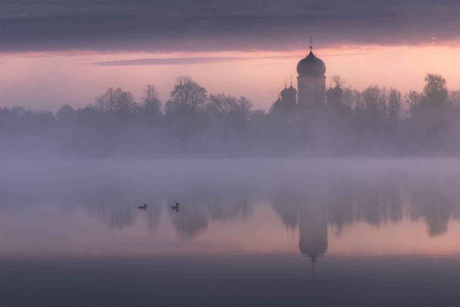 , Политова Анна