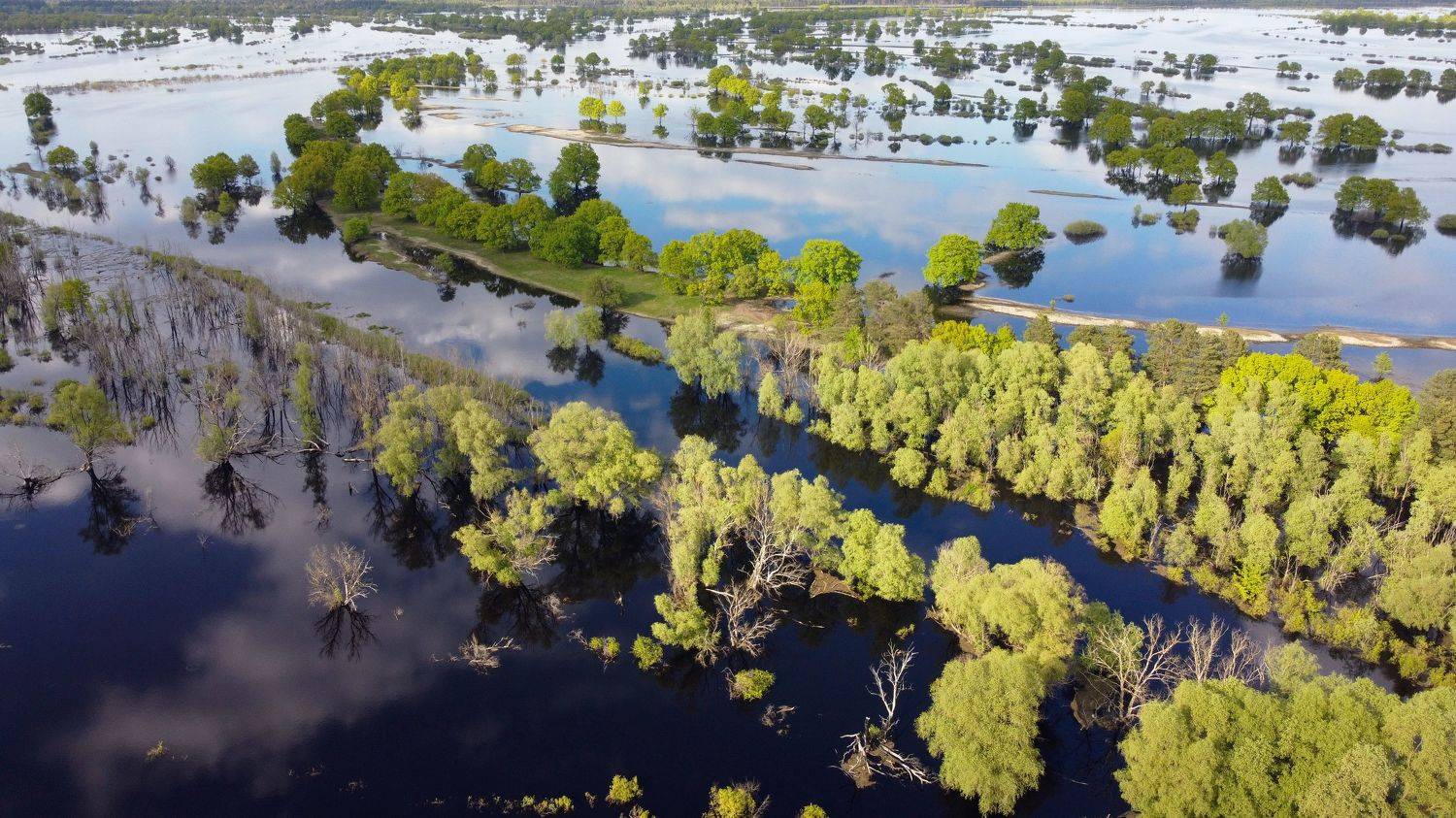 , Сергей Шляга