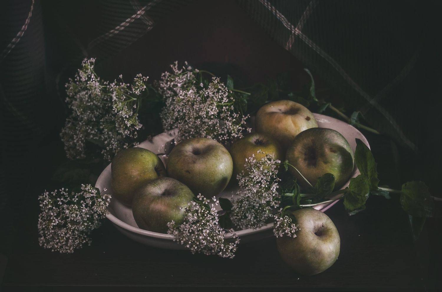 яблоки, натюрморт с яблоками, Shadow Anna